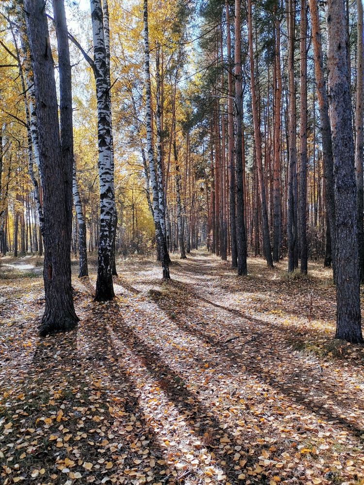 Photograph by Надежда