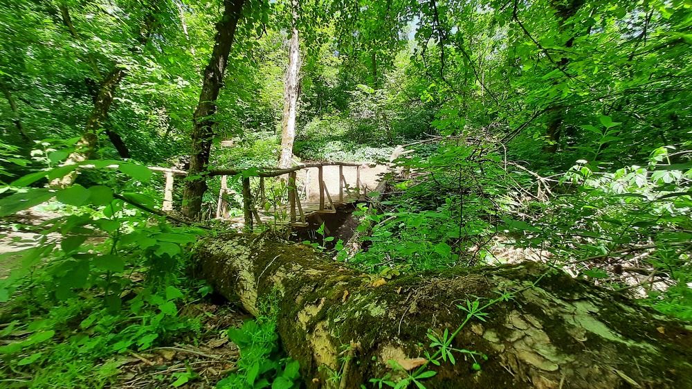 Photograph by ИГОРЬ