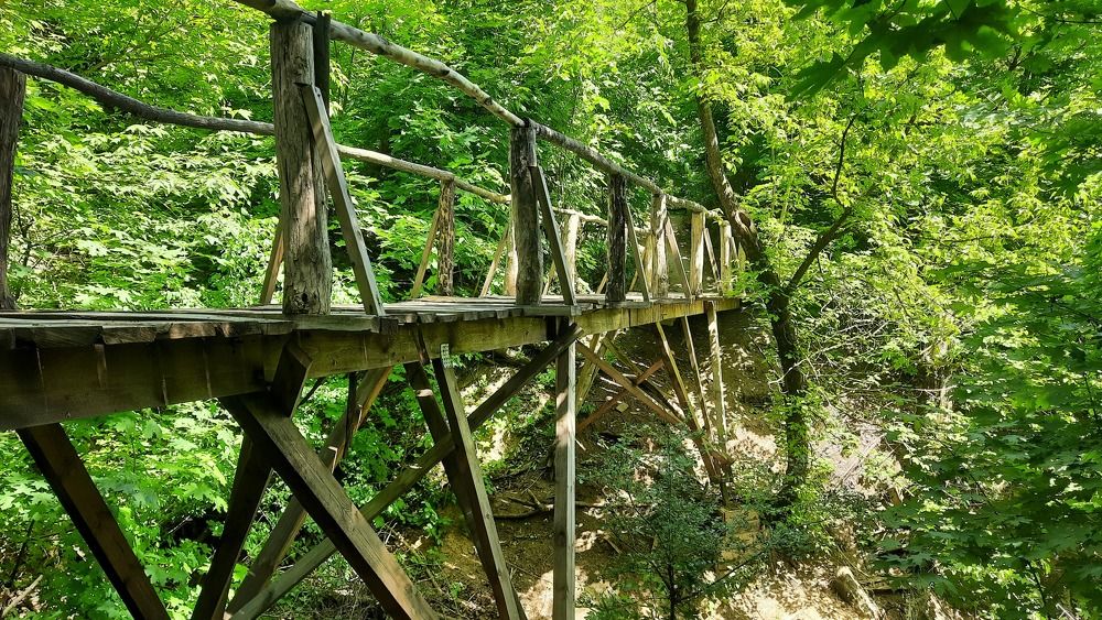 Photograph by ИГОРЬ