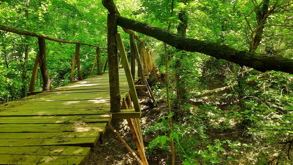 Photograph by ИГОРЬ