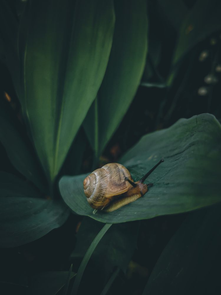 Photograph by Галина