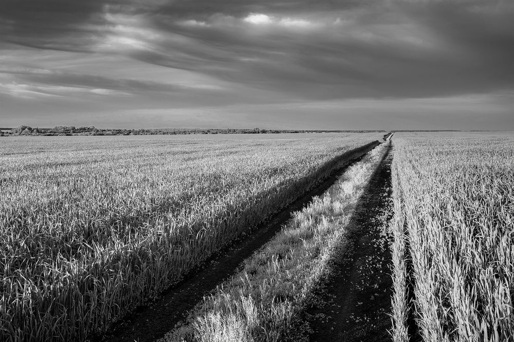 Photograph by Сергей Степанов