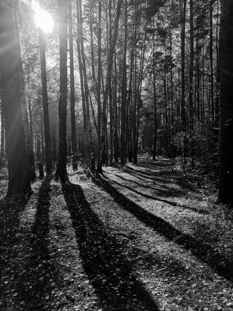 Photograph by Надежда