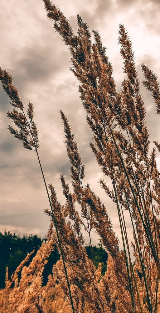 Фотография автора Марина