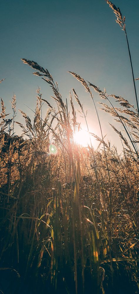 Фотография автора Марина