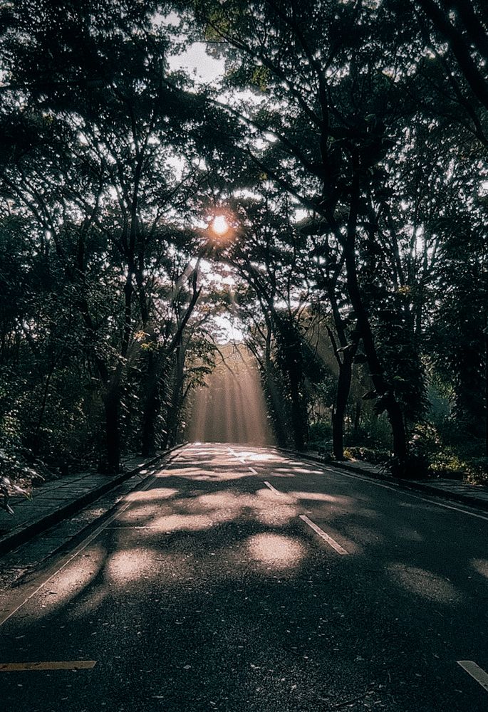 Photograph by Akshay Kshirasagar