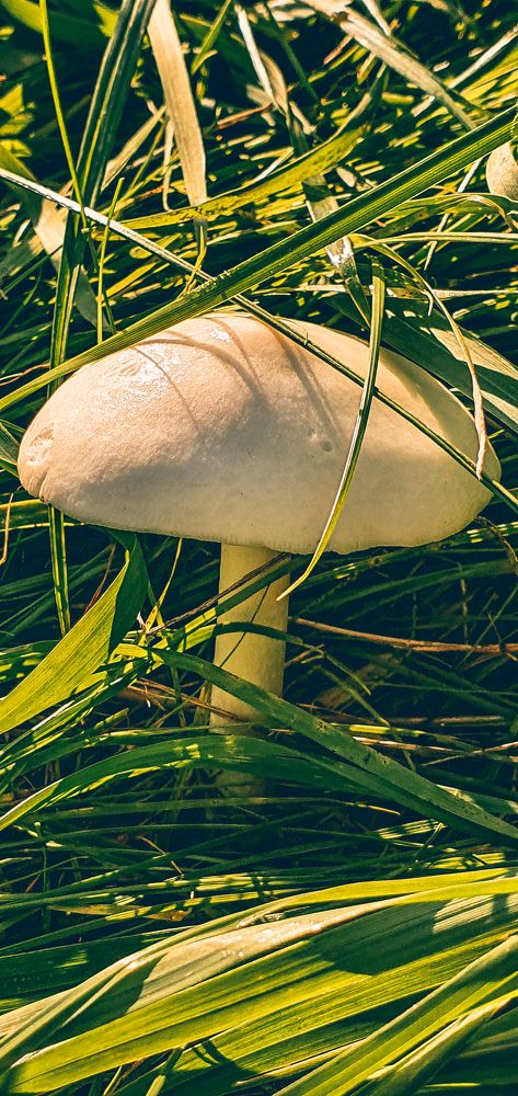 Фотография автора Марина