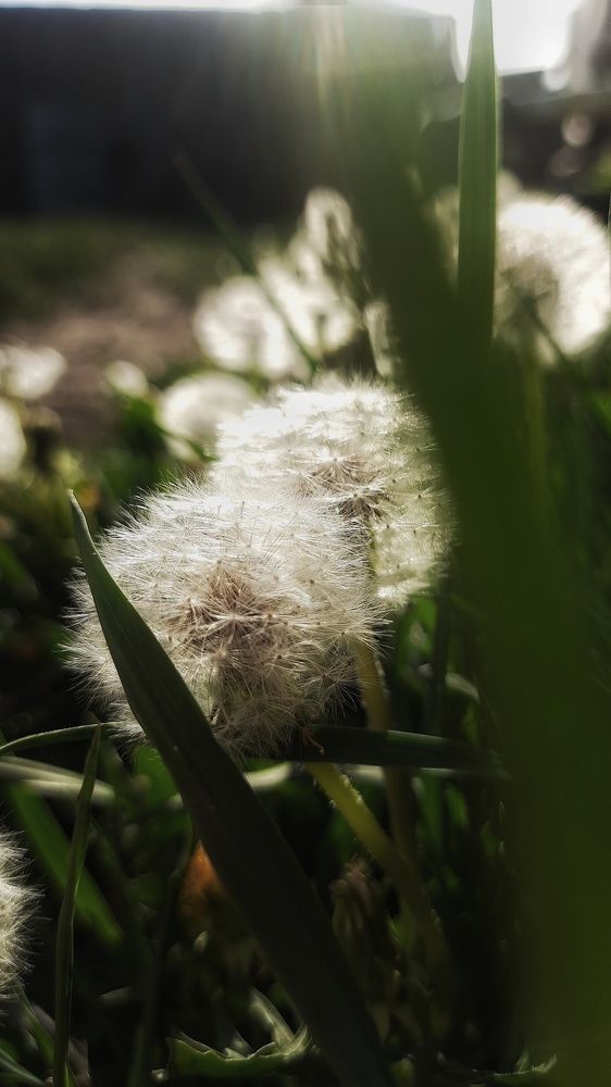 Photograph by Анастасия Дубинина