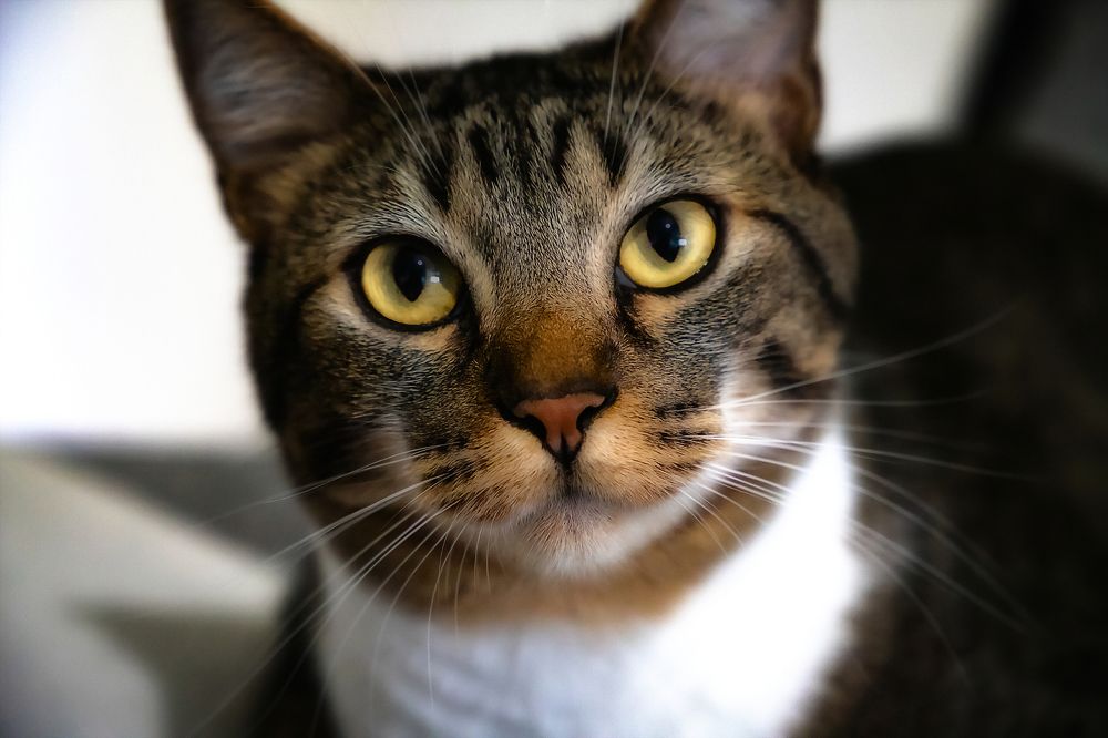 Photograph by Everton Medeiros