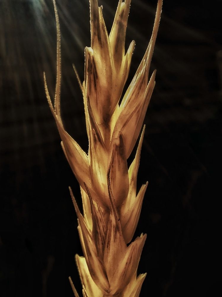 Photograph by Анастасия Дубинина