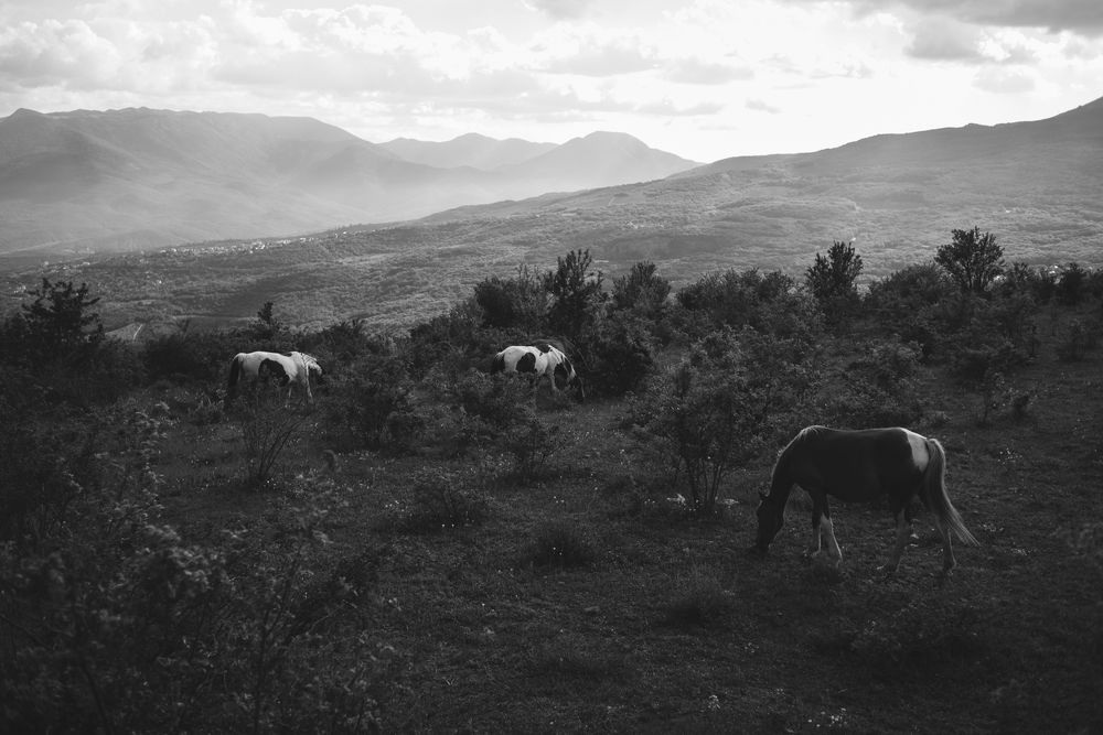 Photograph by Владислав Бирюков