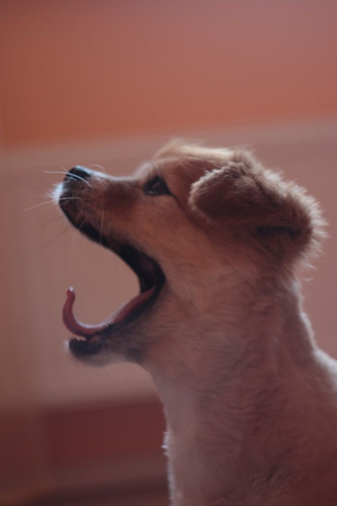 Фотография автора Марина