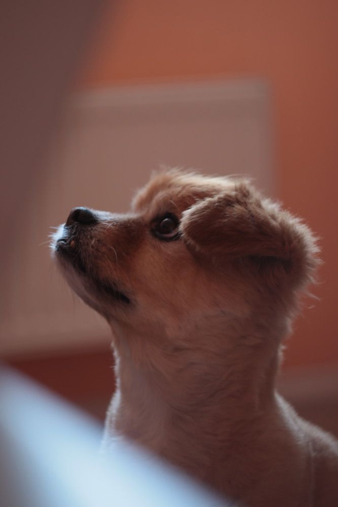 Фотография автора Марина