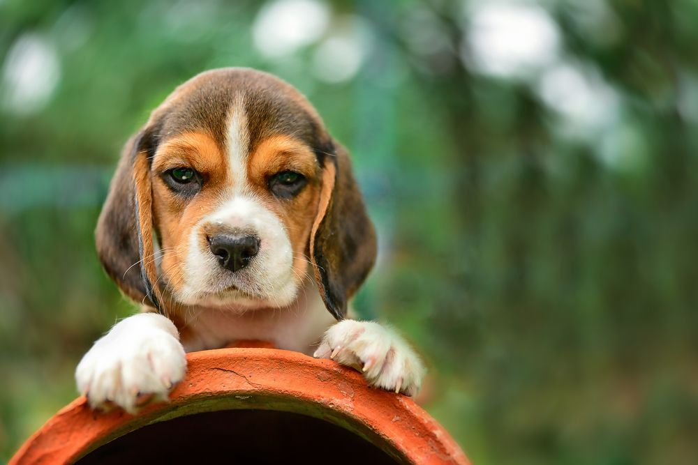 Photograph by Наталия Шляпина