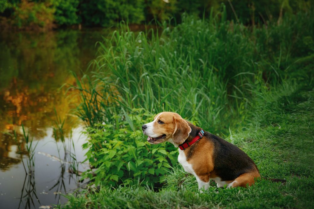 Photograph by Наталия Шляпина