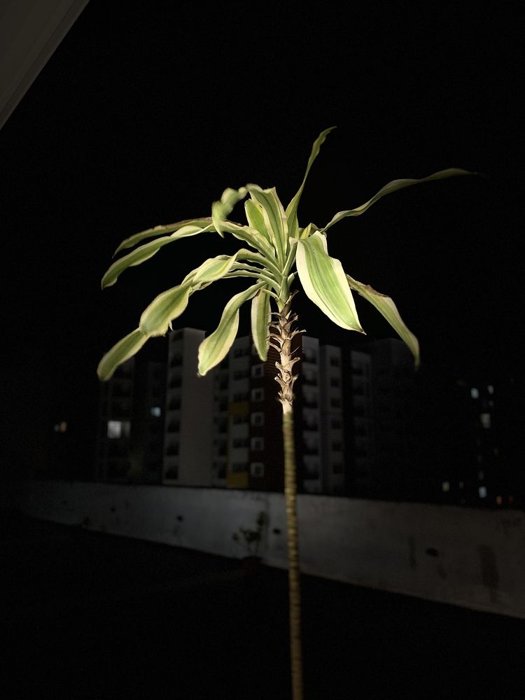 Photograph by Abhijeet Kumar Thakur