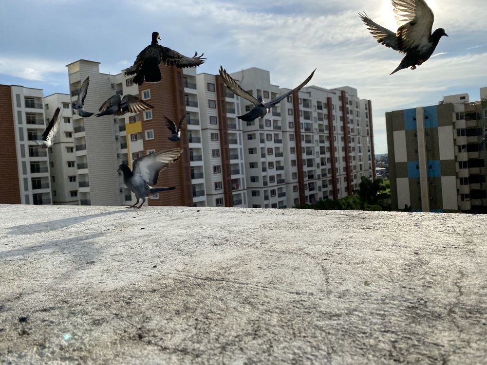 Photograph by Abhijeet Kumar Thakur