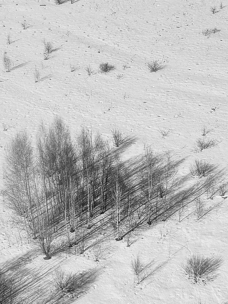 Photograph by Andrey Kondrov