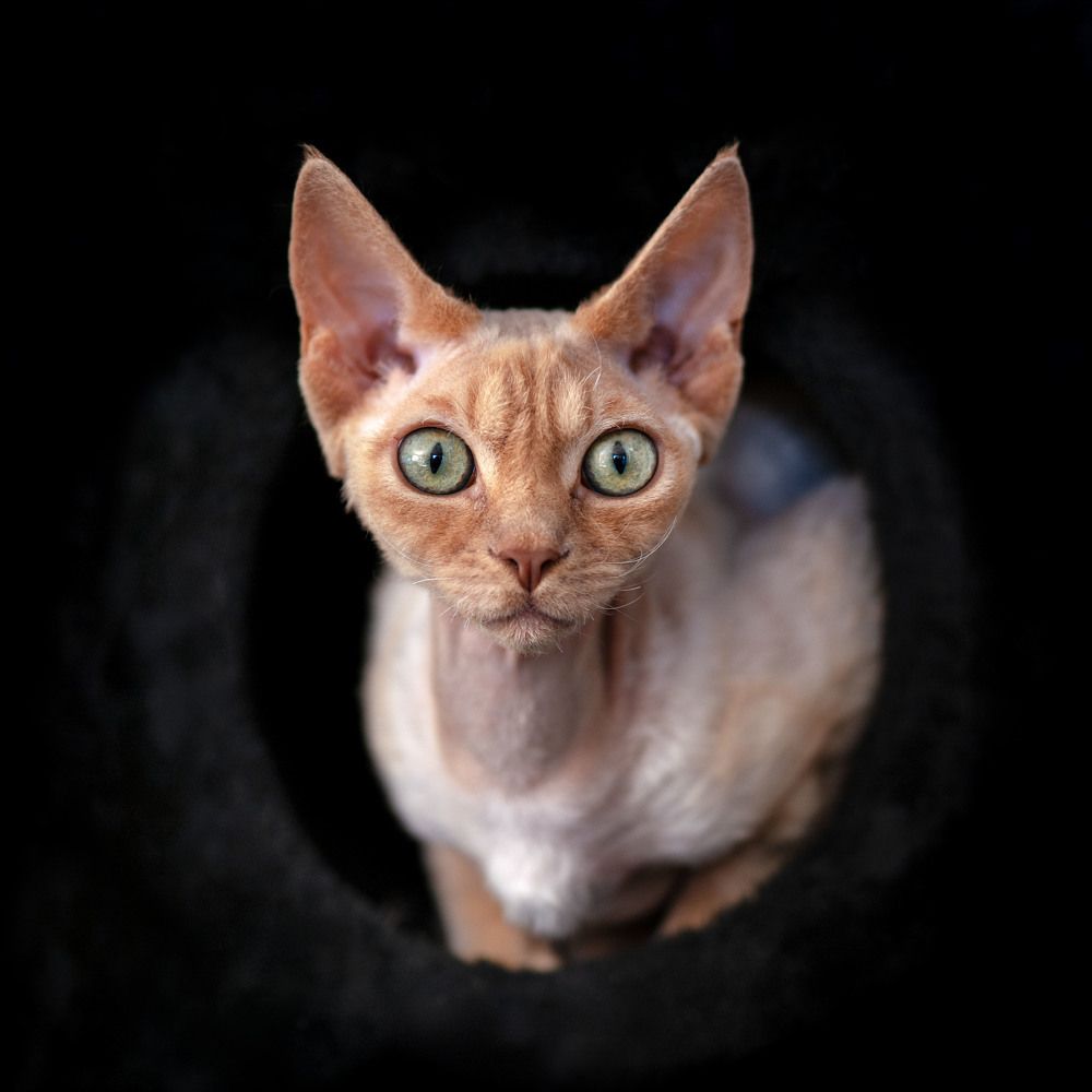 Photograph by Acrement Valentina