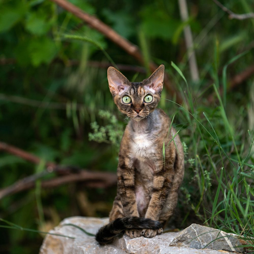 Photograph by Acrement Valentina