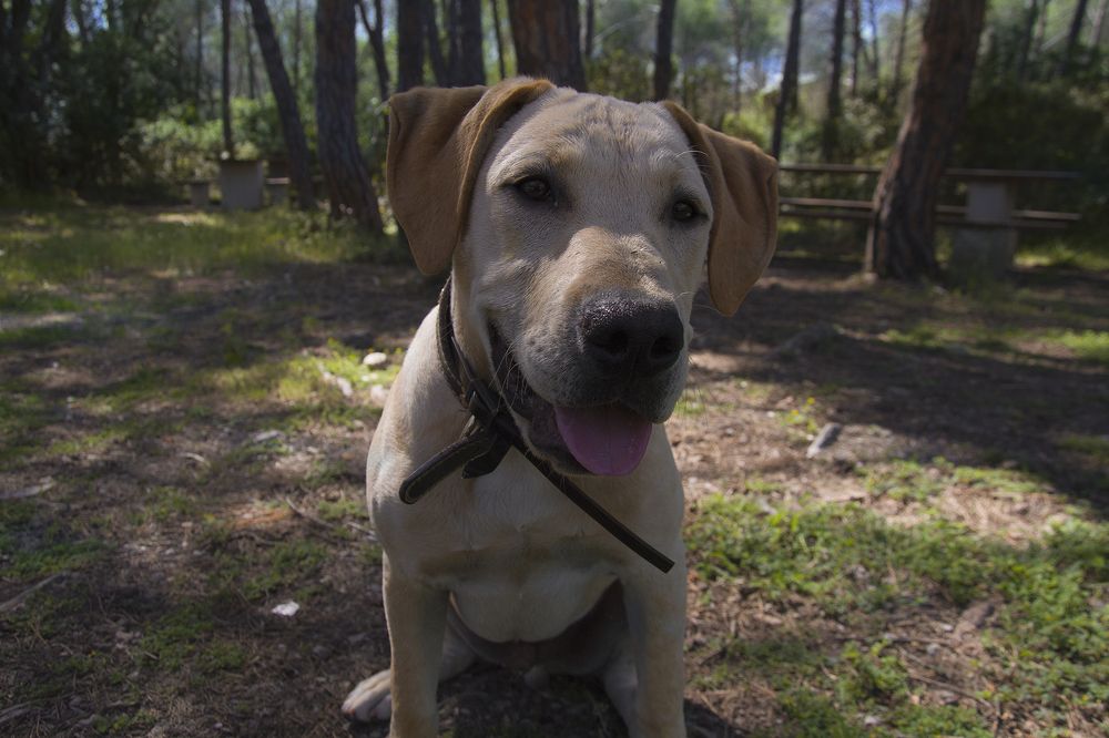 Photograph by Alberto Cani