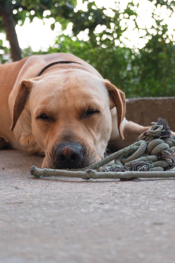 Photograph by Alberto Cani