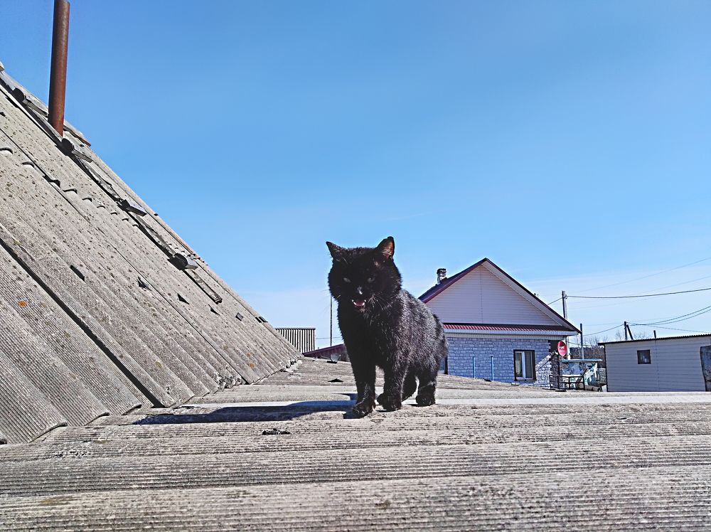 Photograph by Анатолий Майдуров