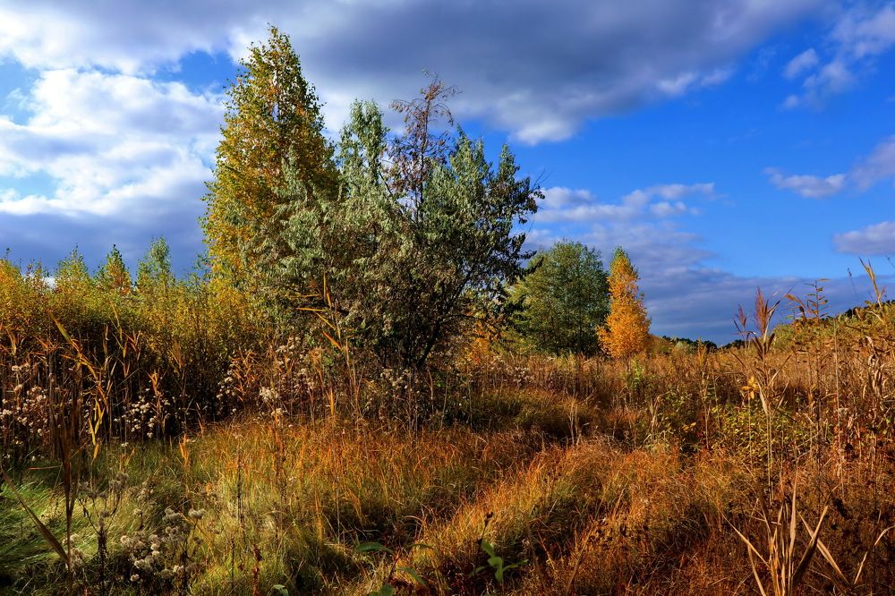 Photograph by Владимир Подкуйко