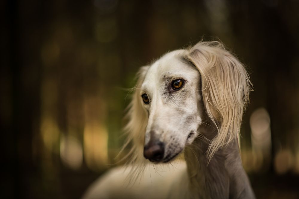 Photograph by Agnieszka Wieczorek