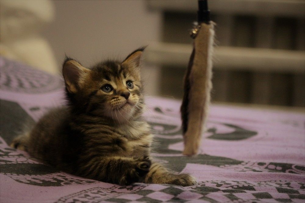 Photograph by Марина Игнатьева