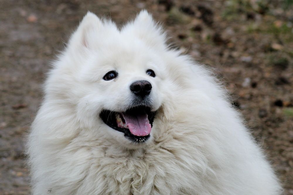 Photograph by Николай Николаевич Леухин