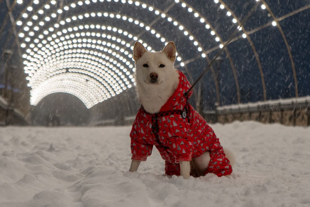 Photograph by Bolatkali Zhan