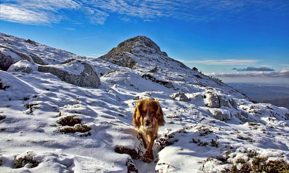 Photograph by Михаил Баевский