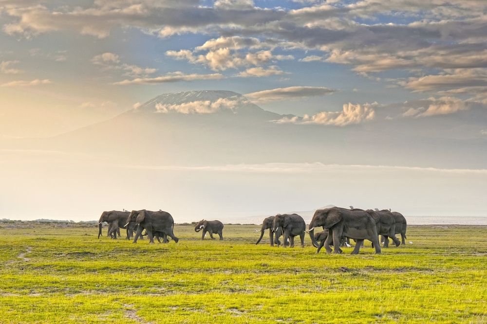 Photograph by Ирина Худзинская