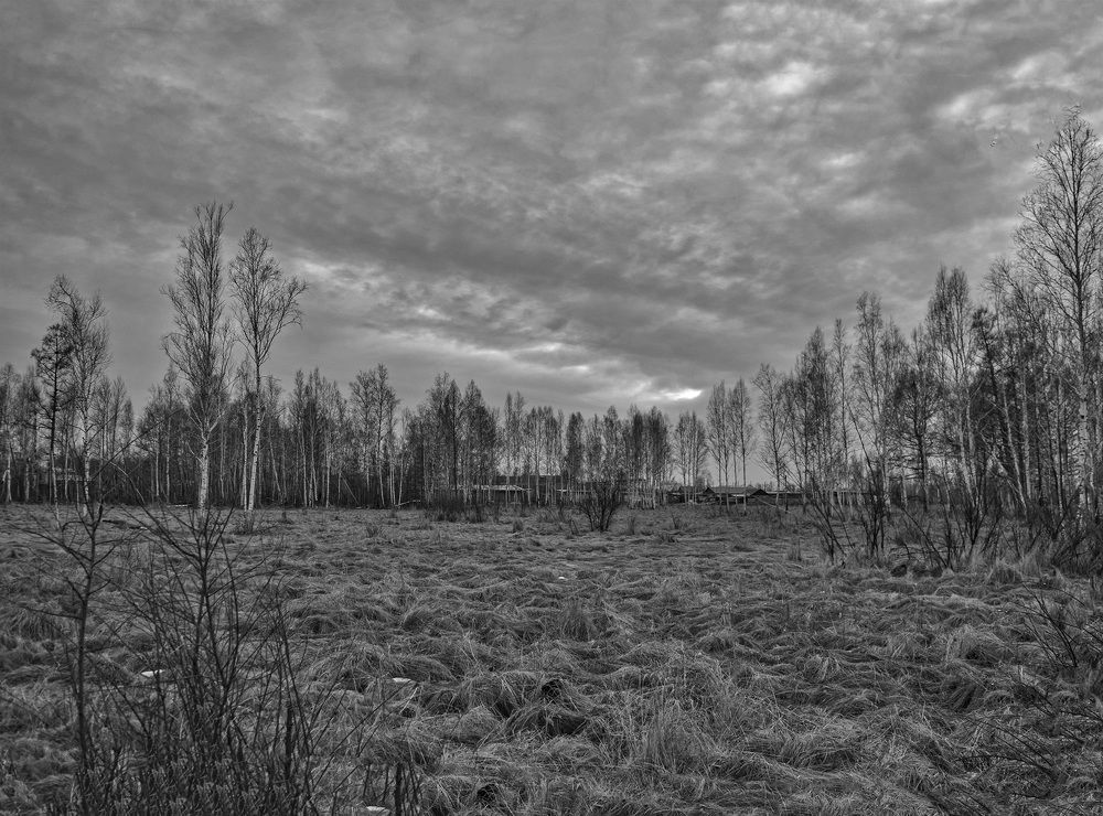 Photograph by Блохина Ольга