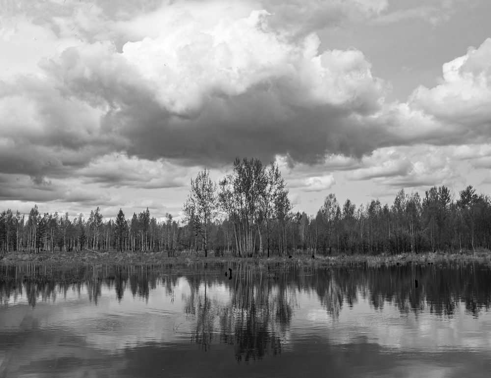 Photograph by Блохина Ольга