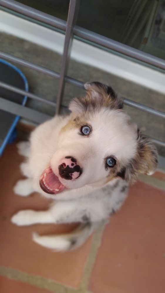 Photograph by Adaya Iglesias