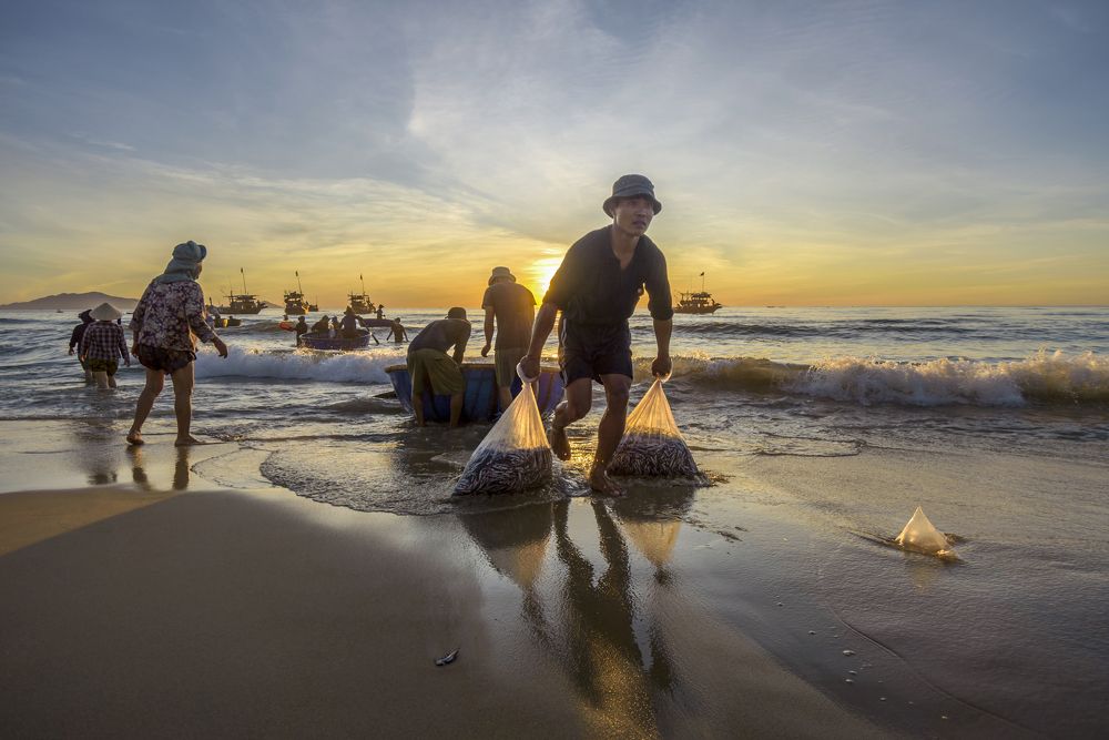 Photograph by Khiêm Phạm Đăng