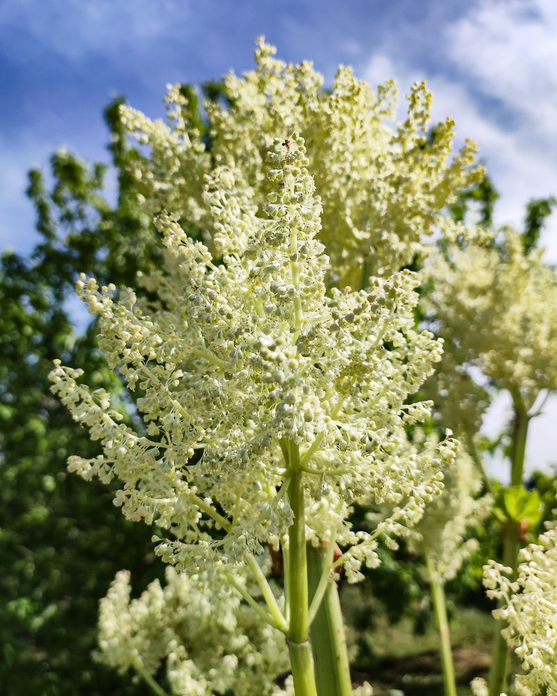 Photograph by Татьяна Парамонова