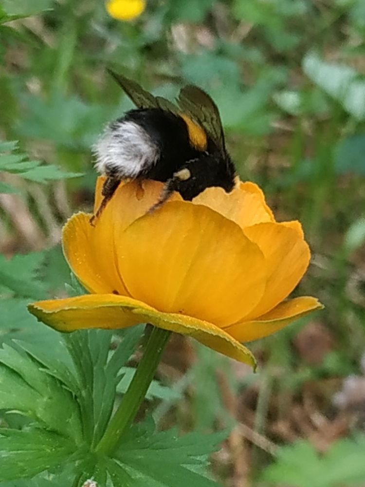 Photograph by Екатерина Евгеньевна