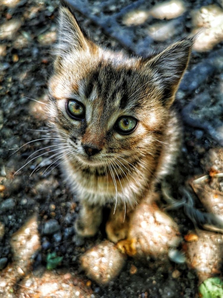 Photograph by Елена Артёменко