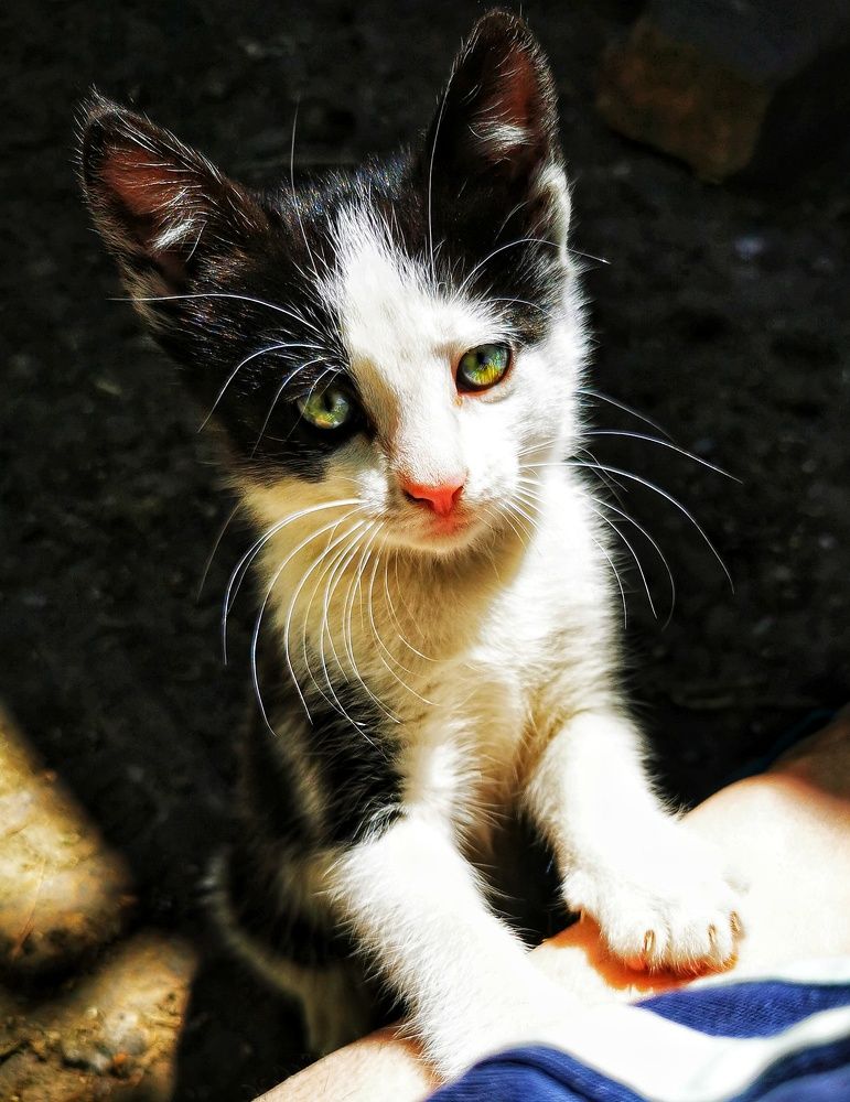 Photograph by Елена Артёменко