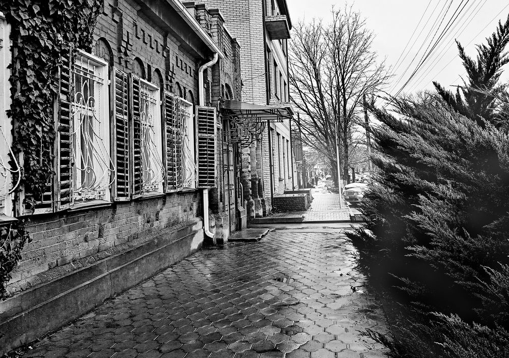 Фотография автора Светлана Зубанова