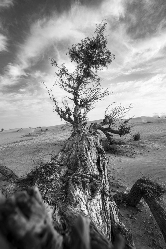 Photograph by Zubair Irshad