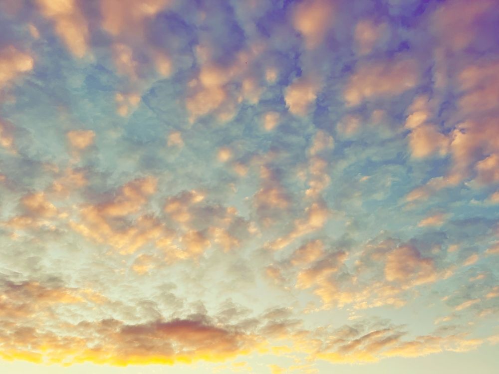 Photograph by Юлия Честнова