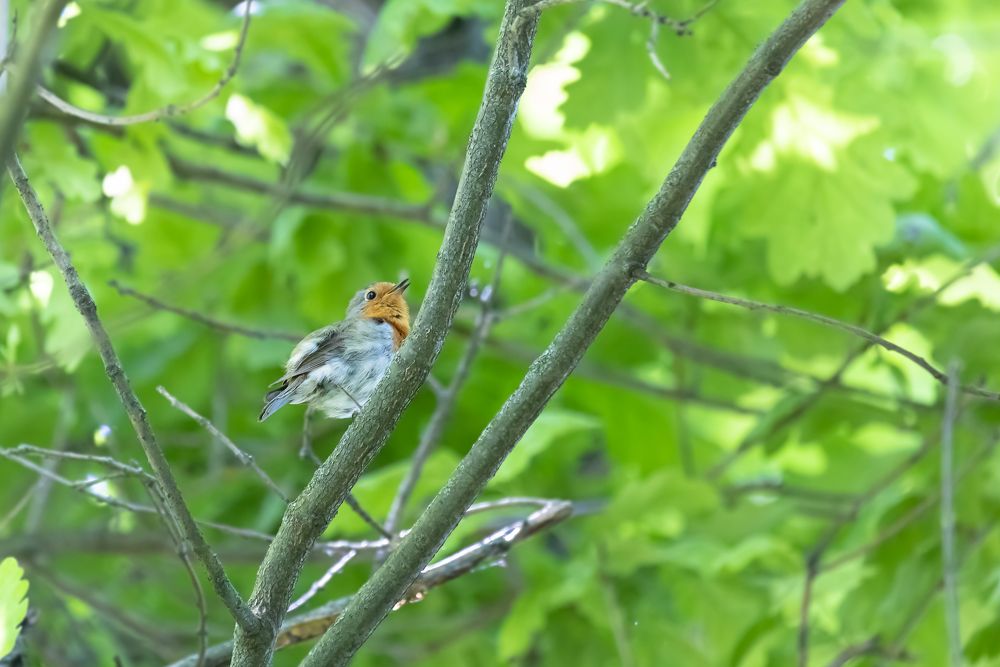 Photograph by Андрей Козичев