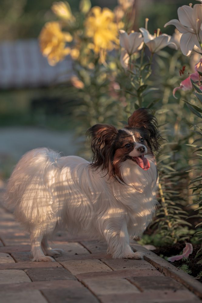 Photograph by Юлия Честнова