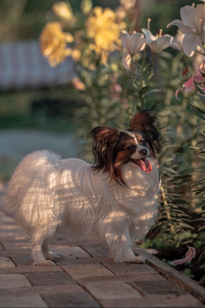 Photograph by Юлия Честнова