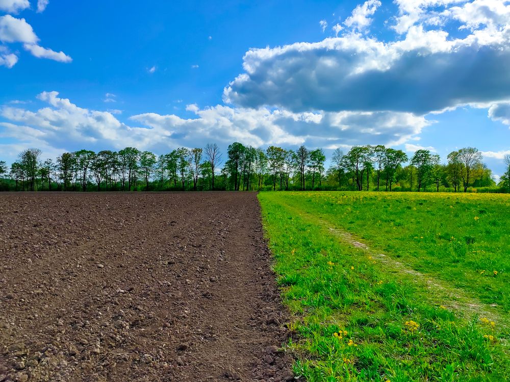 Photograph by Виктор Карпухин