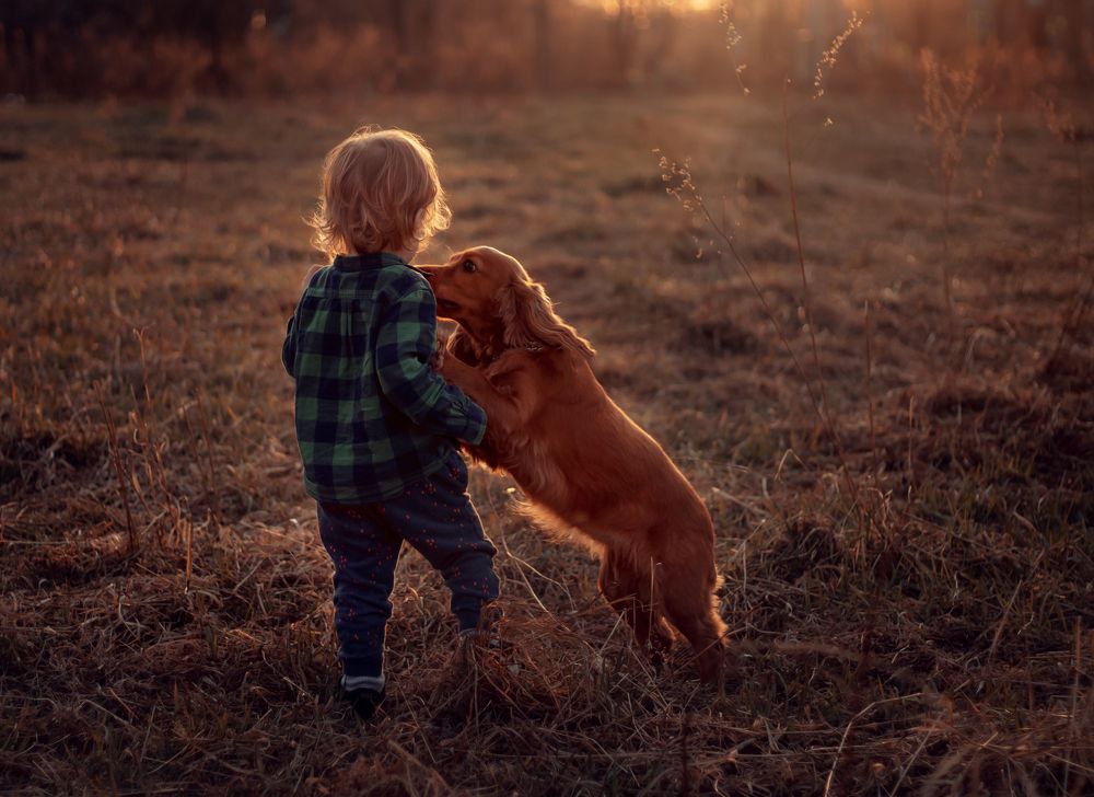 Photograph by Елена Рудь